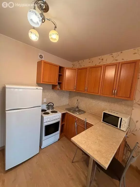 Квартира-студия: посёлок Металлострой, Полевая улица, 9 (26.4 м) - Фото 1