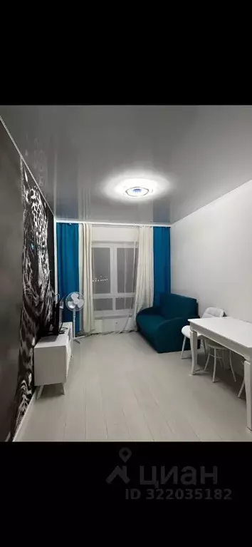 1-к кв. Псковская область, Псков Линейная ул., 85 (38.0 м) - Фото 2