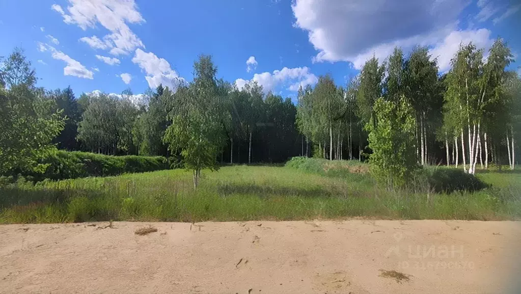 Участок в Ленинградская область, Тосненский район, Любанское городское ... - Фото 1