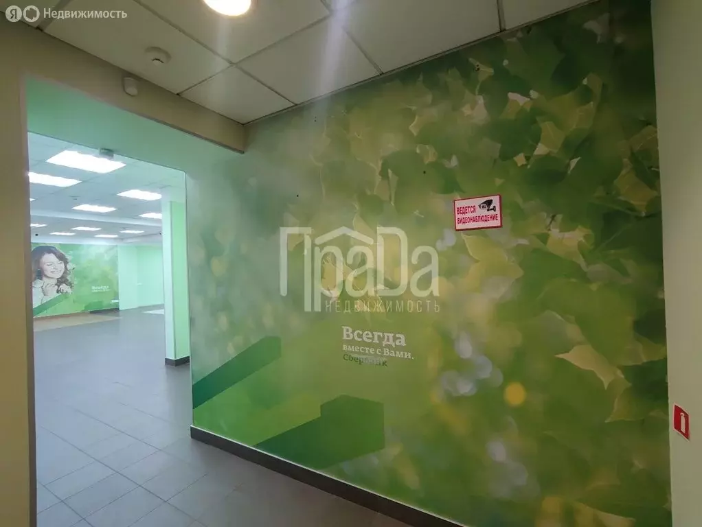 Помещение свободного назначения (146 м) - Фото 1