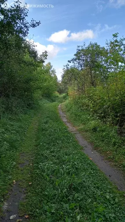 Участок в Нижегородская область, Бор (6.6 м) - Фото 1
