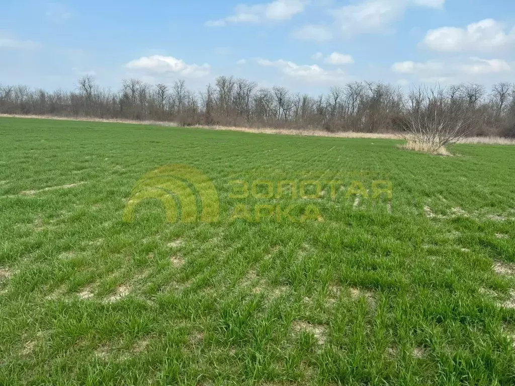 Участок в Краснодарский край, Темрюк Северные Сады потребительский ... - Фото 2