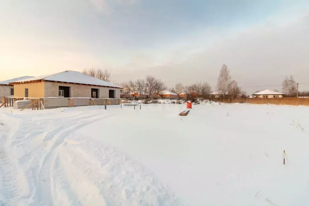 Участок в Тюменская область, Тюмень Россиянка садовое товарищество, ... - Фото 1