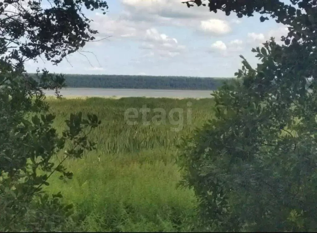 Участок в Тюменская область, Нижнетавдинский муниципальный округ, ... - Фото 1