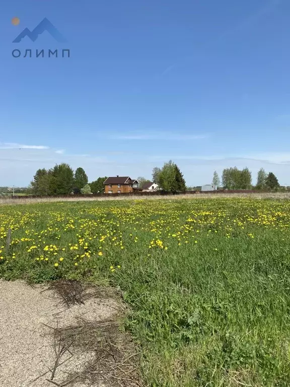Участок в Вологодская область, д. Кулеберево  (14.6 сот.) - Фото 1