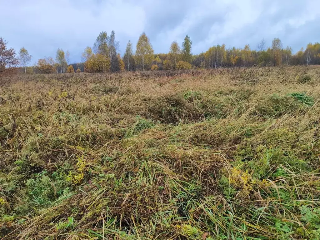 Участок в Московская область, Раменский муниципальный округ, д. ... - Фото 1