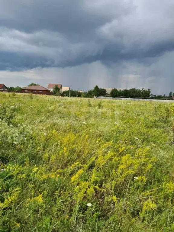 Участок в Воронежская область, Хохольский район, с. Гремячье ... - Фото 2