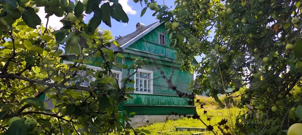 Дом в Тверская область, Бельский муниципальный округ, д. Верховье  (56 ... - Фото 1