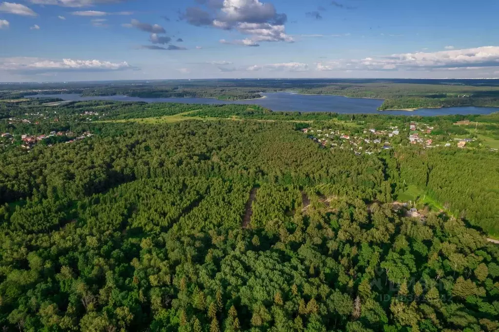 Участок в Московская область, Истра городской округ, д. Ламишино  (6.0 ... - Фото 0