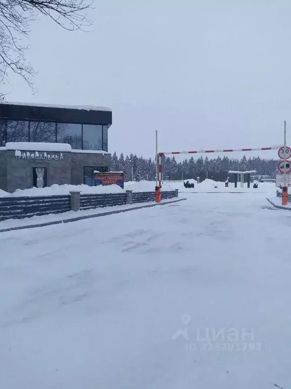 Участок в Московская область, Мытищи городской округ, д. Фелисово ул. ... - Фото 1