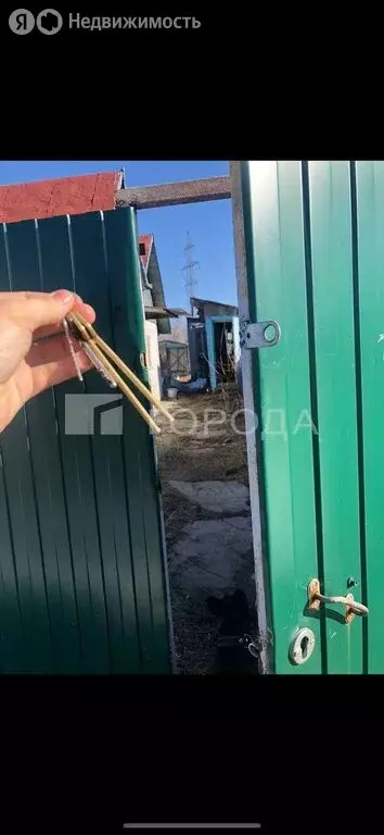 Участок в Новосибирск, СТ Тайфун (3 м) - Фото 1