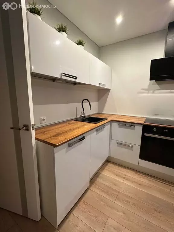 Квартира-студия: село Зубово, Весенняя улица, 1 (33 м) - Фото 2