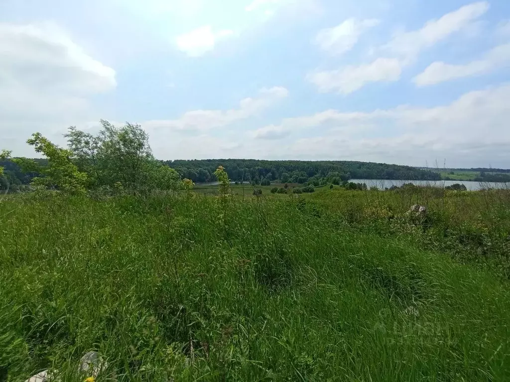 Участок в Московская область, Коломна городской округ, д. Подмалинки  ... - Фото 0