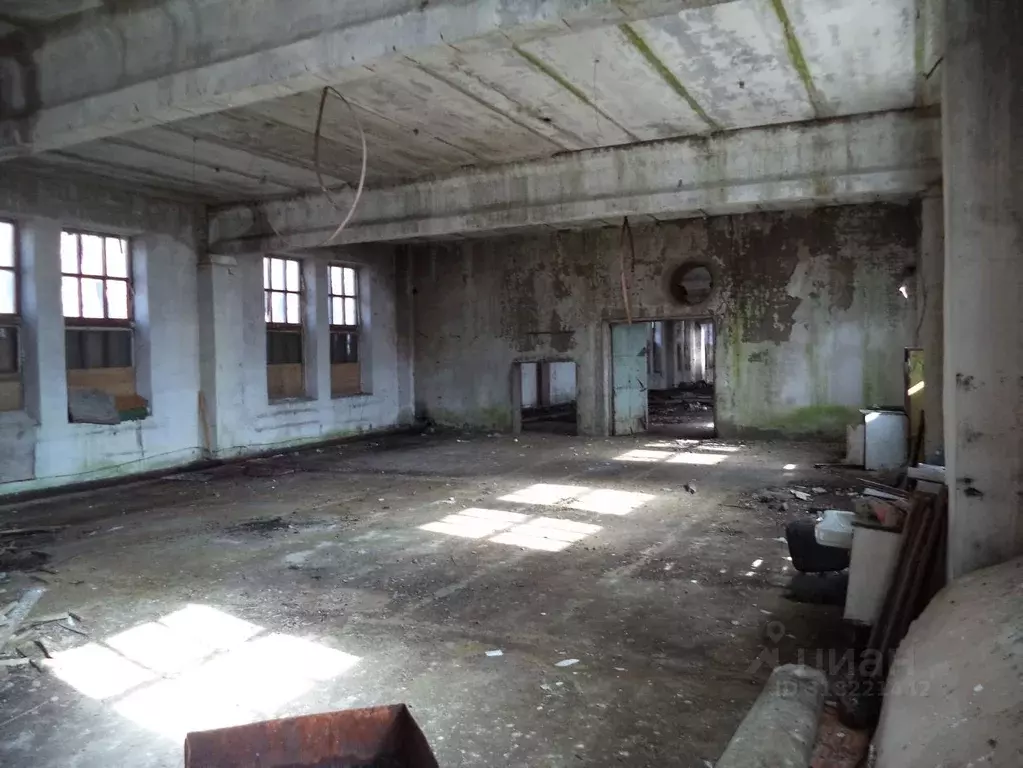 Помещение свободного назначения в Рязанская область, Кадом рп ул. ... - Фото 0