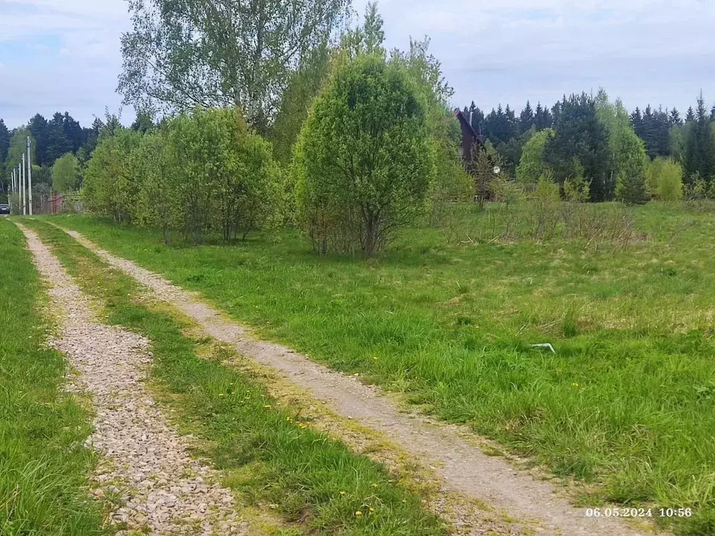 Участок в Московская область, Наро-Фоминский городской округ, Руть ... - Фото 1