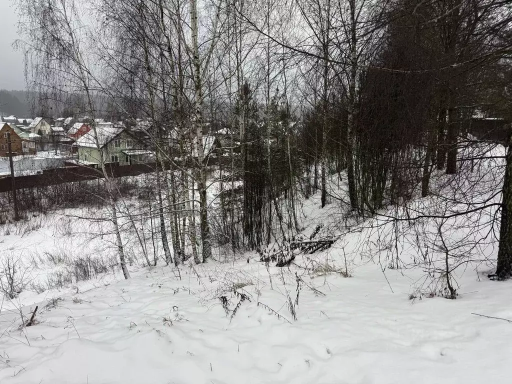 Участок в Московская область, Пушкинский городской округ, д. Лепешки  ... - Фото 1
