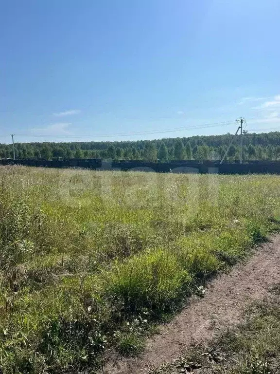 Участок в Челябинская область, Сосновский муниципальный округ, с. ... - Фото 1