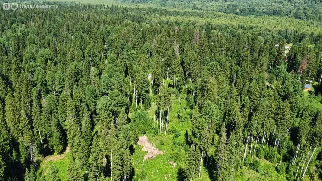 Дом в Томский район, деревня Казанка, Сосновая улица, 2 (24 м) - Фото 0