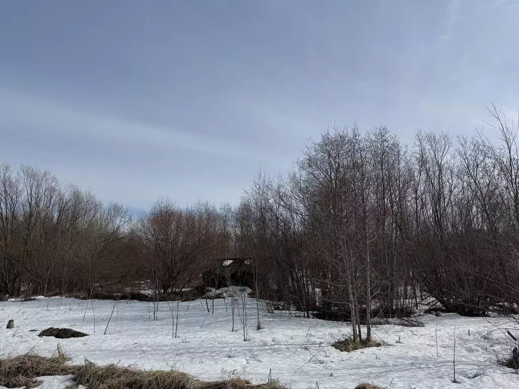 Участок в Архангельская область, Архангельск пос. Цигломень, ул. ... - Фото 1