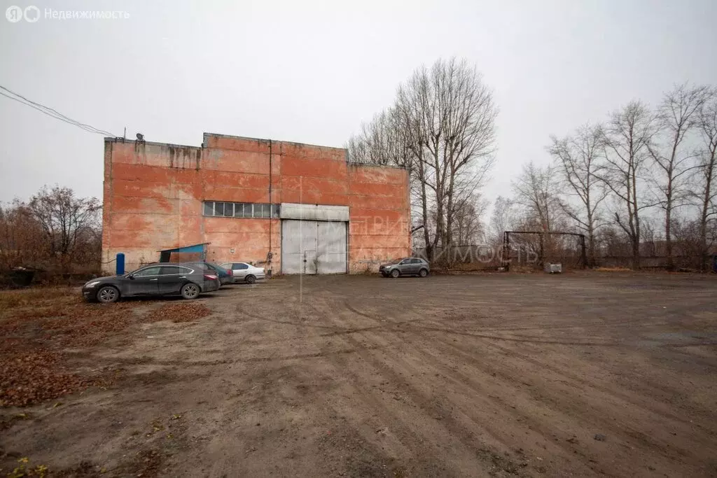 Склад (292.8 м) - Фото 1