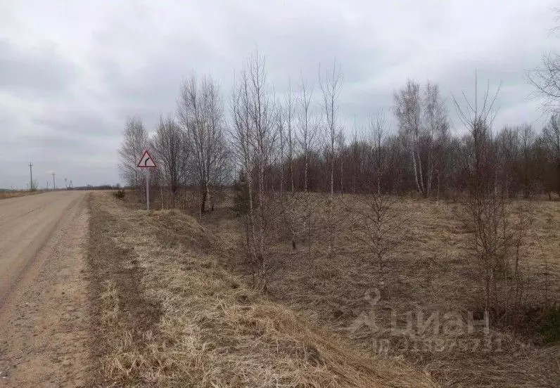 Участок в Московская область, Дмитровский муниципальный округ, д. ... - Фото 1