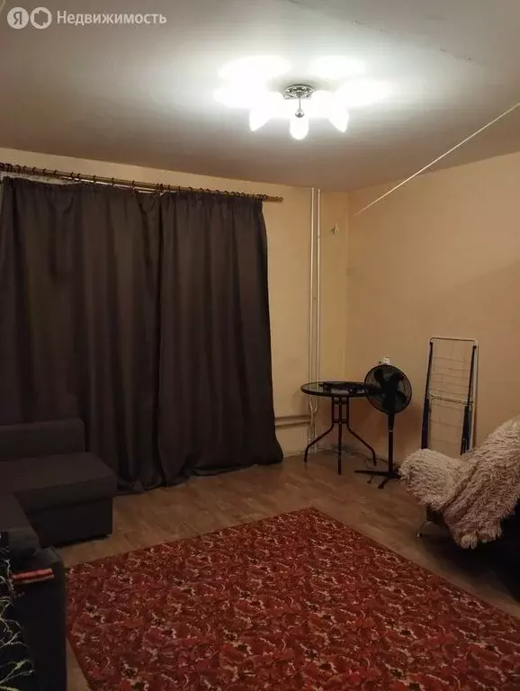 Квартира-студия: Новосибирск, улица Татьяны Снежиной, 41 (324 м) - Фото 1