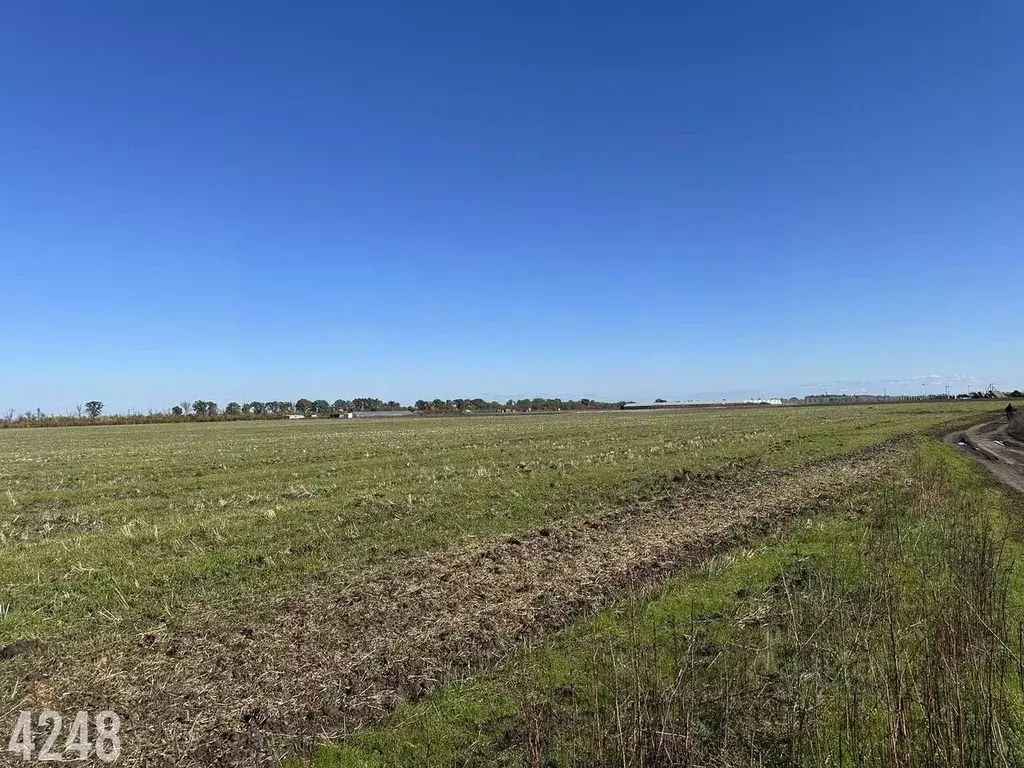 Участок в Краснодарский край, Краснодар пос. Победитель, ул. Быстрая, ... - Фото 2