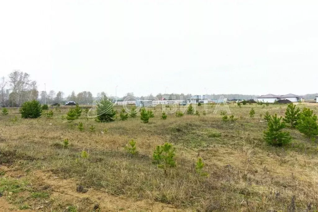 Участок в Тюменская область, Тюменский район, с. Кулига  (9.58 сот.) - Фото 0
