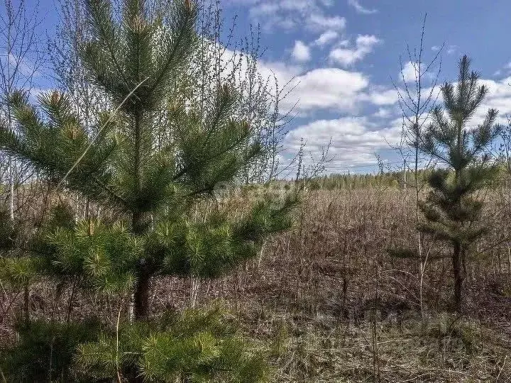 Участок в Тюменская область, Тюменский район, с. Кулига, Кулига-2 мкр  ... - Фото 0