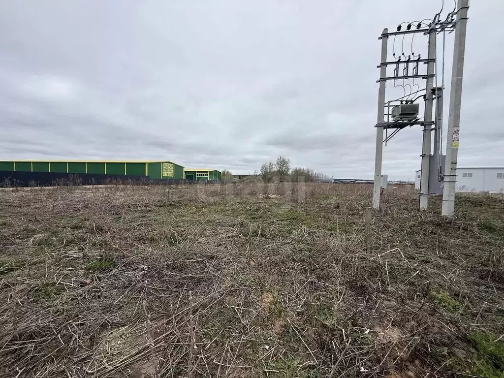 Участок в Ленинградская область, Ломоносовский район, Аннинское ... - Фото 1