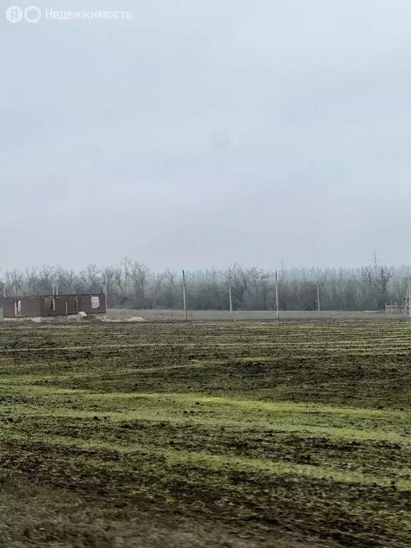 Участок в Мишкинская, улица Просвещения, 45 (7 м) - Фото 1
