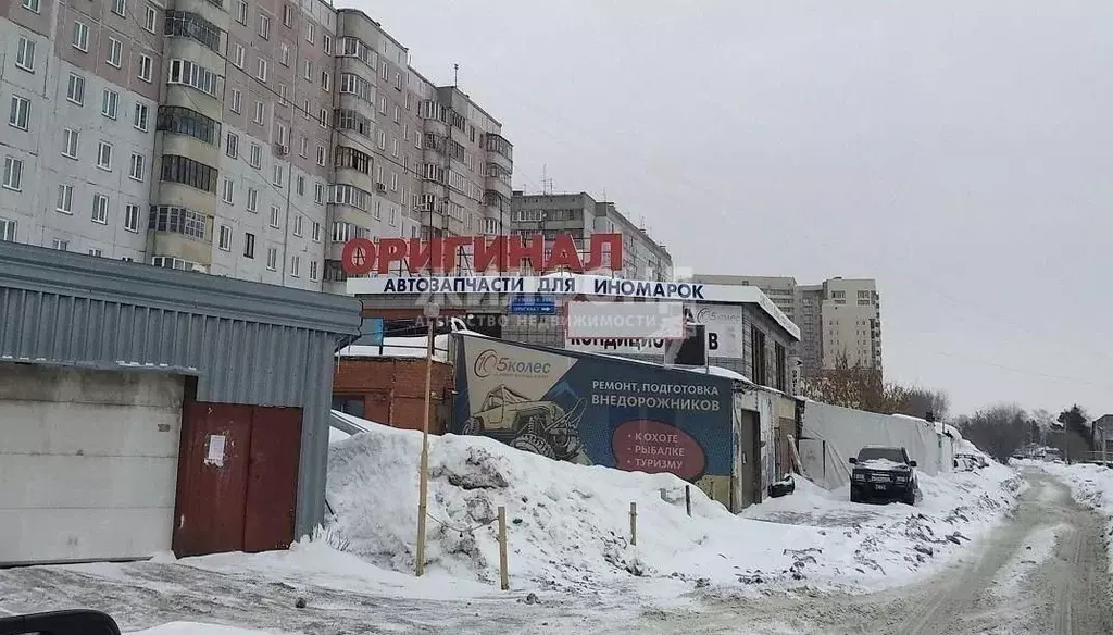 Торговая площадь в Новосибирская область, Новосибирск Тульская ул., ... - Фото 1