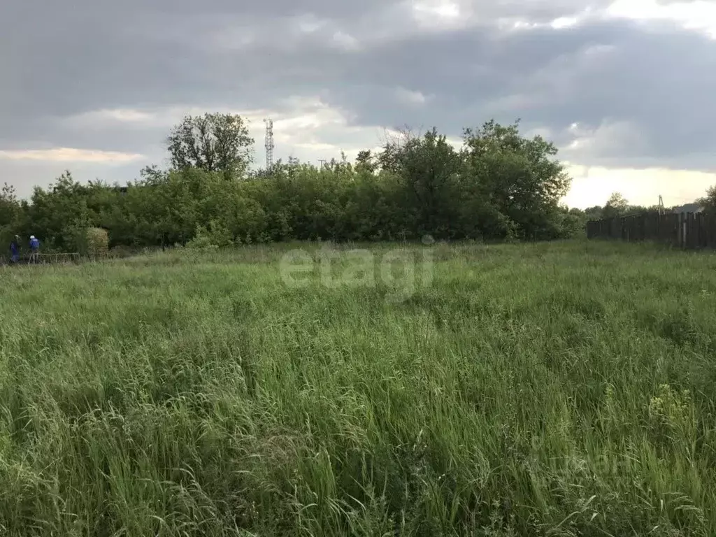 Участок в Курганская область, Кетовский муниципальный округ, Черемушки ... - Фото 1