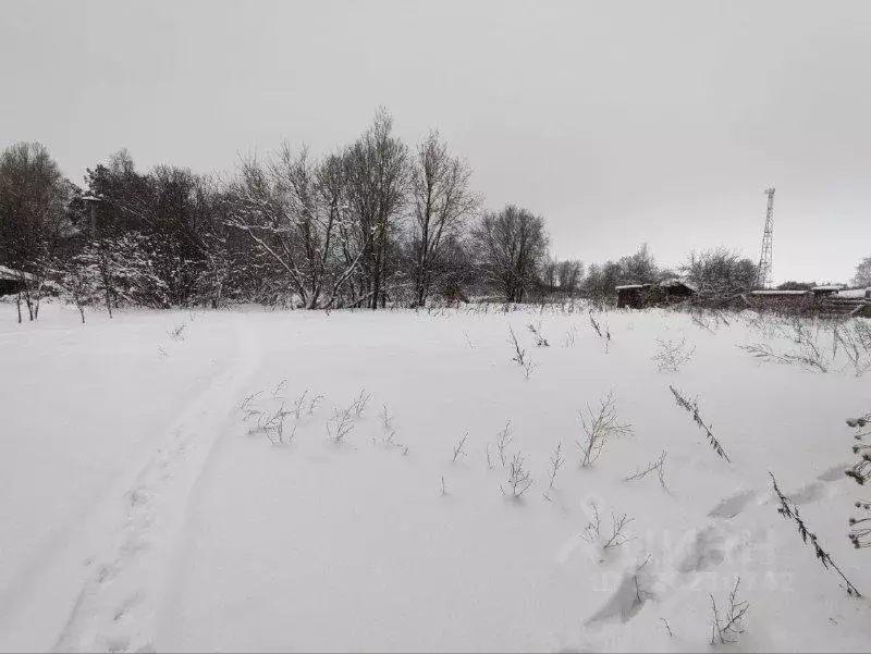 Участок в Московская область, Лотошино муниципальный округ, д. Палкино ... - Фото 1