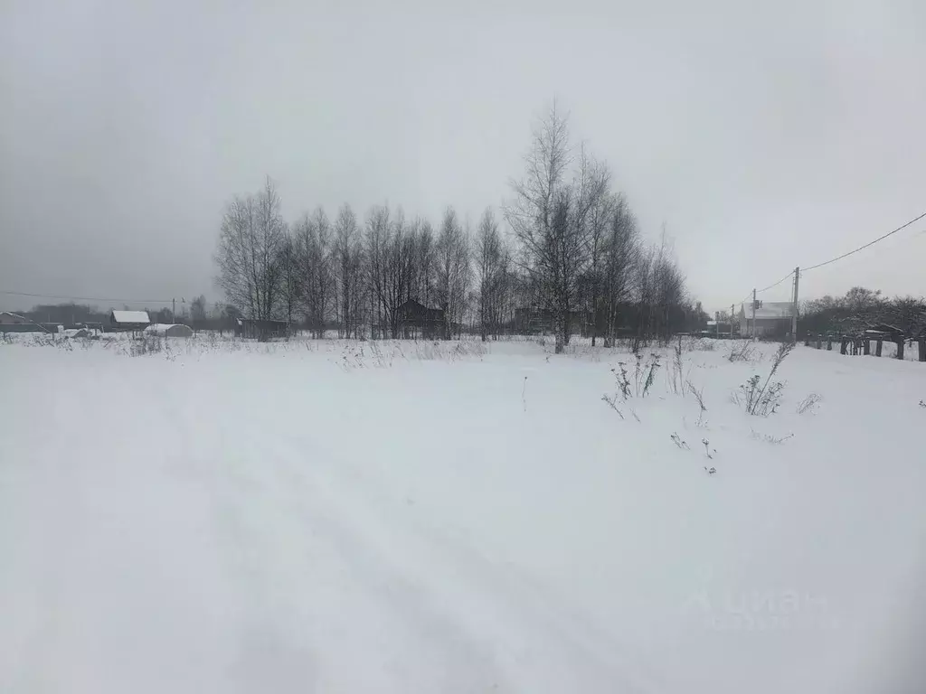 Участок в Московская область, Богородский городской округ, д. Большое ... - Фото 2