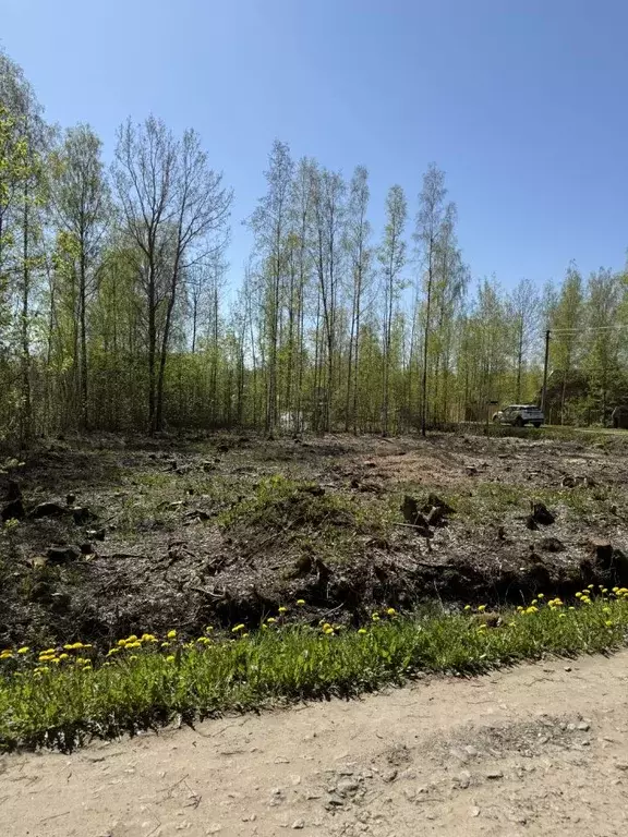 Участок в Ленинградская область, Ломоносовский район, Виллозское ... - Фото 1