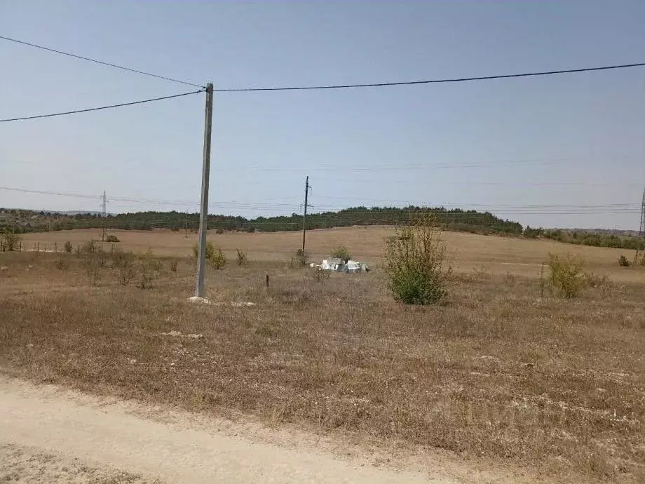 Участок в Крым, Бахчисарайский район, с. Скалистое пер. Хвойный (10.0 ... - Фото 1