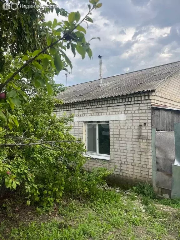 1-комнатная квартира: село Белогорье, Луговая улица, 8 (45 м) - Фото 2