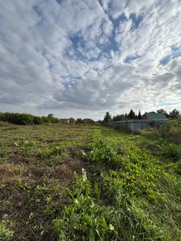Участок в Омская область, Омский район, пос. Ростовка Зеленая ул., 47 ... - Фото 2