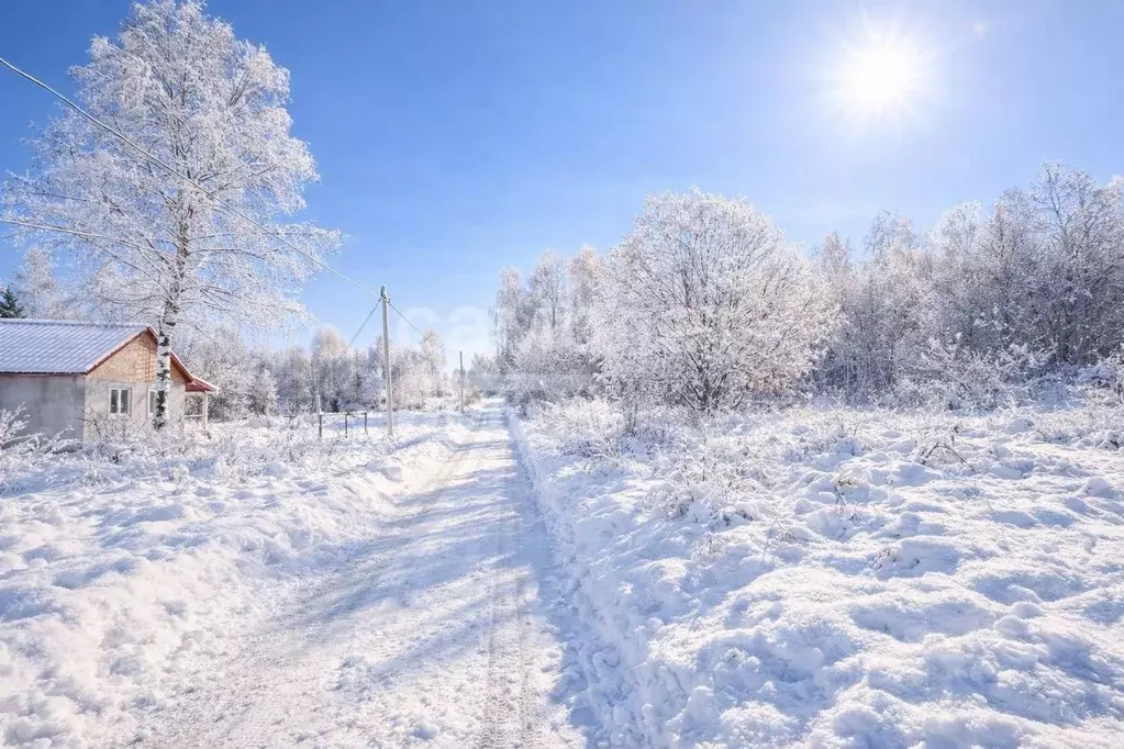 Участок в Московская область, Дмитровский муниципальный округ, ... - Фото 1