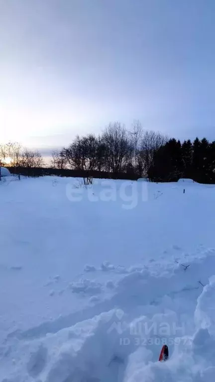 Участок в Вологодская область, Возрождение СТ  (15.0 сот.) - Фото 1