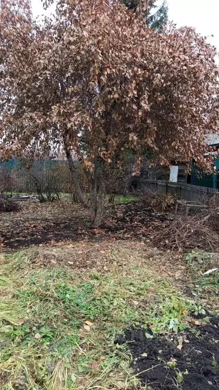 Дом в Омская область, Омск Космос СНТ, аллея 2-я (40 м) - Фото 2