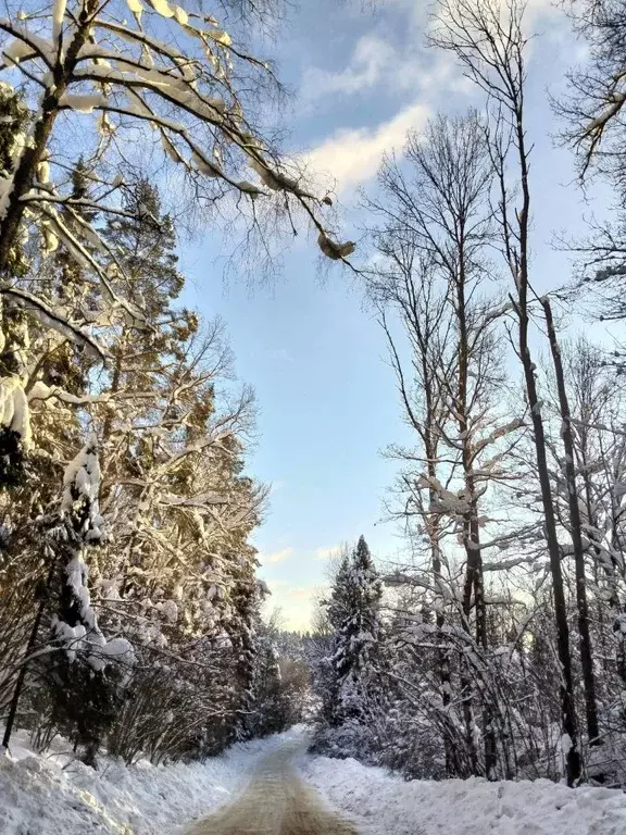 Дом в Калужская область, Боровский муниципальный округ, Совьяки с/пос, ... - Фото 2