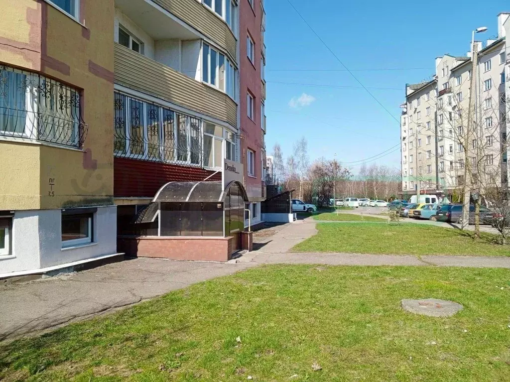 Офис в Калининградская область, Калининград Зеленая ул., 91 (175 м) - Фото 0