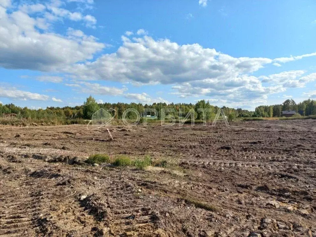 Участок в Тюменская область, Нижнетавдинский район, с. Тюнево ул. ... - Фото 0