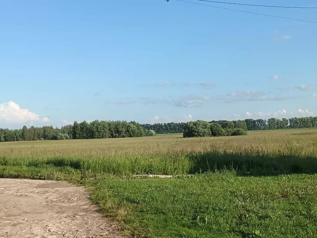 Дом в Владимирская область, Суздальский район, Селецкое муниципальное ... - Фото 2
