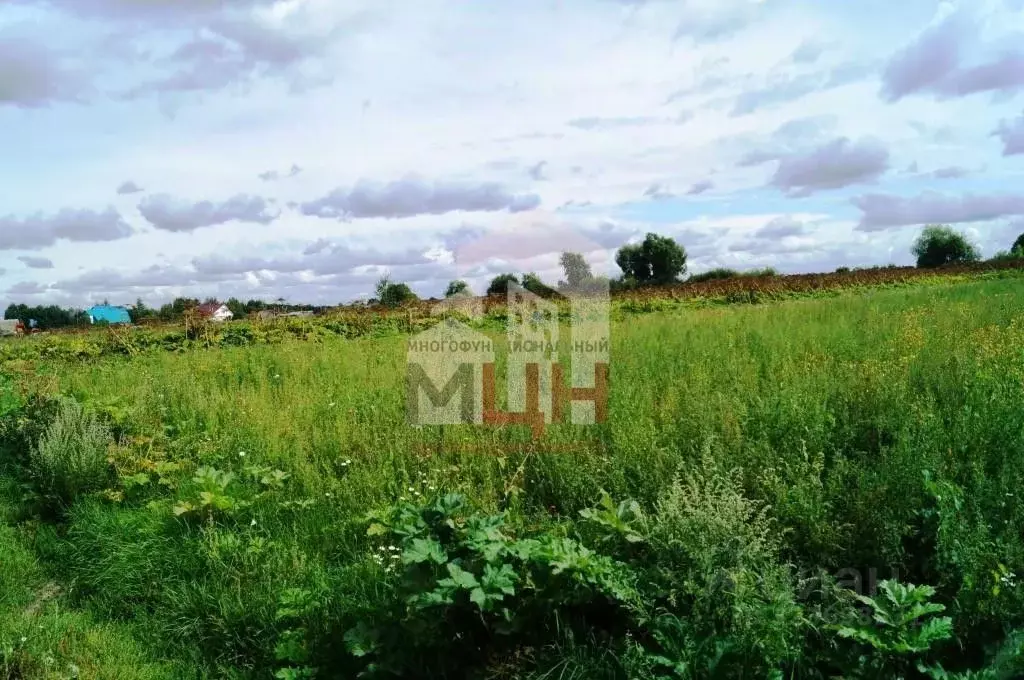 Участок в Тверская область, Конаковский муниципальный округ, д. Ручьи ... - Фото 1