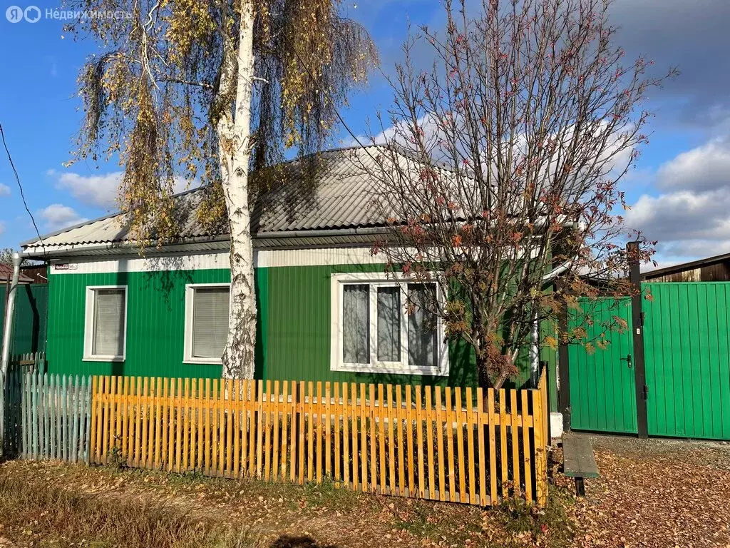 Дом в Абакан, улица Чапаева, 56 (66.9 м) - Фото 1