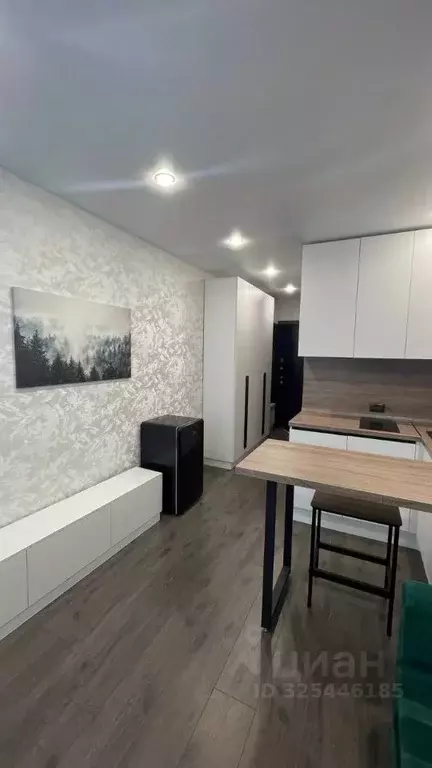 Студия Рязанская область, Рязанский муниципальный округ, с. Дядьково ... - Фото 1