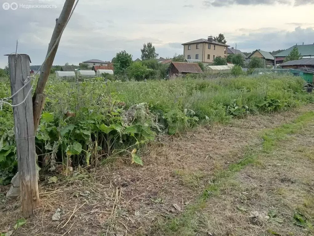 Участок в Тургояк, улица Ленина (6.64 м) - Фото 0